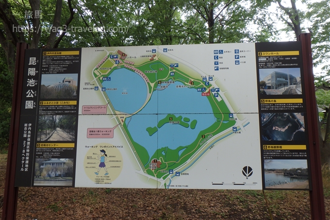 昆陽池公園の地図